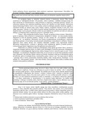 Teatro teorija 5 puslapis
