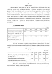 Verslo planas: restoranas - maitinimo įmonė "Vilniaus rūsys" 11 puslapis