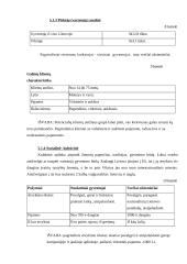 Verslo planas: restoranas - maitinimo įmonė "Vilniaus rūsys" 13 puslapis