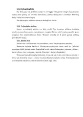 Verslo planas: restoranas - maitinimo įmonė "Vilniaus rūsys" 14 puslapis