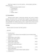 Verslo planas: restoranas - maitinimo įmonė "Vilniaus rūsys" 20 puslapis