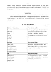 Verslo planas: restoranas - maitinimo įmonė "Vilniaus rūsys" 7 puslapis