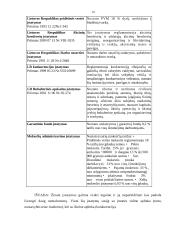 Verslo planas: restoranas - maitinimo įmonė "Vilniaus rūsys" 10 puslapis