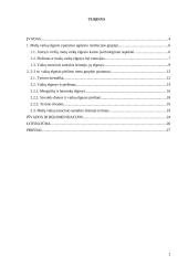 2–3 metų vaikų elgesys ir piešimas 2 puslapis