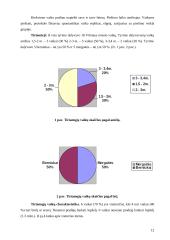 2–3 metų vaikų elgesys ir piešimas 12 puslapis