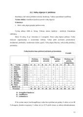 2–3 metų vaikų elgesys ir piešimas 13 puslapis