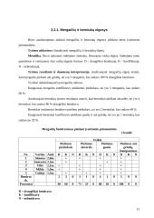 2–3 metų vaikų elgesys ir piešimas 15 puslapis