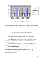2–3 metų vaikų elgesys ir piešimas 17 puslapis