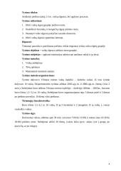 2–3 metų vaikų elgesys ir piešimas 4 puslapis