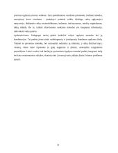 Aktyviųjų metodų taikymas ikimokykliniame amžiuje 20 puslapis