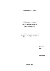 Europos Sąjungos darbo rinka
