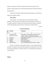 Verslo planas: žirgynas IĮ "Žirgynė" 13 puslapis