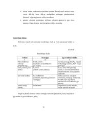 Verslo planas: žirgynas IĮ "Žirgynė" 16 puslapis