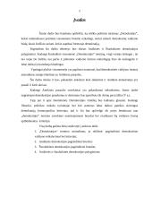 Antikinės ir šiuolaikinės demokratijos palyginimas 2 puslapis