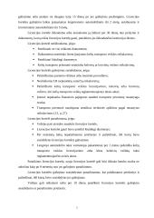 Vežimo dokumentacija 5 puslapis