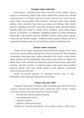 Vežimo dokumentacija 9 puslapis