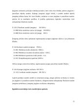 Apskaitos ypatybės logistikos įmonėje 15 puslapis