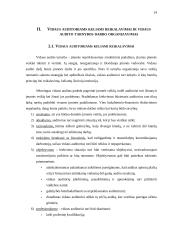 Vidaus audito organizavimas 13 puslapis