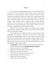 Vidaus audito organizavimas 2 puslapis