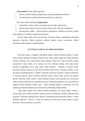 Vidaus audito organizavimas 7 puslapis