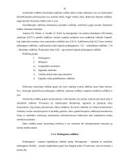 Apskaitos organizavimas: AB "Alita" 18 puslapis