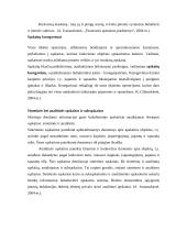 Apskaitos proceso organizavimas ir finansinė analizė: AB "Autora" 13 puslapis