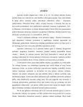 Apskaitos proceso organizavimas ir finansinė analizė: AB "Autora" 3 puslapis