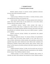 Apskaitos proceso organizavimas ir finansinė analizė: AB "Autora" 5 puslapis