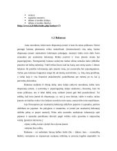 Apskaitos proceso organizavimas ir finansinė analizė: AB "Autora" 8 puslapis