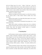 Apskaitos proceso organizavimas ir finansinė analizė: AB "Autora" 9 puslapis