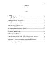 Vienkaušis tiesioginio kasimo ekskavatorius 2 puslapis