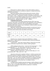 Vienkaušis tiesioginio kasimo ekskavatorius 3 puslapis