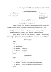 Argumentavimas 6 klasėje 6 puslapis