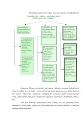 Argumentavimas 6 klasėje 7 puslapis