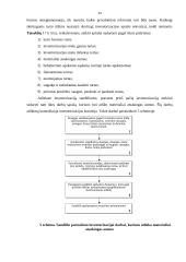 Atsargų inventorizacija 14 puslapis