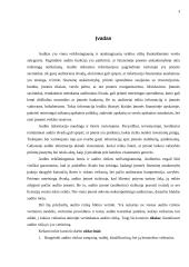 Audito rizika 2 puslapis