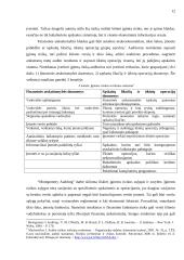 Audito rizika 11 puslapis