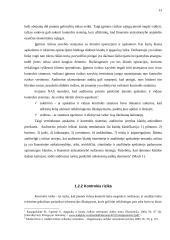 Audito rizika 12 puslapis