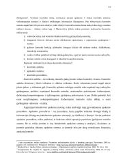 Audito rizika 13 puslapis