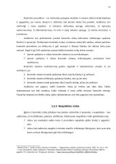 Audito rizika 14 puslapis