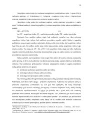 Audito rizika 15 puslapis