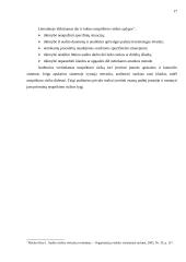 Audito rizika 16 puslapis