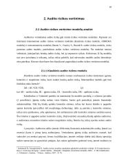 Audito rizika 17 puslapis