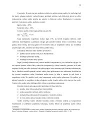 Audito rizika 19 puslapis