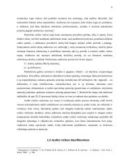 Audito rizika 5 puslapis