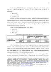 Audito rizika 6 puslapis