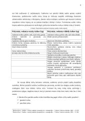 Audito rizika 7 puslapis