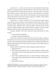 Audito rizika 8 puslapis