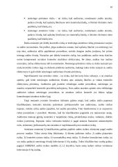 Audito rizika 9 puslapis