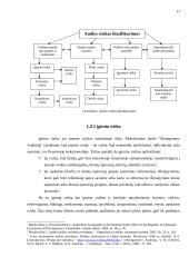 Audito rizika 10 puslapis